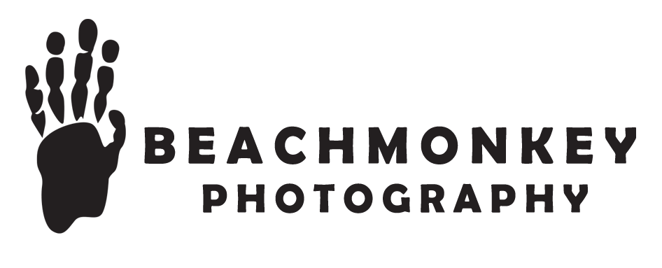 beachmonkeyphotography.com